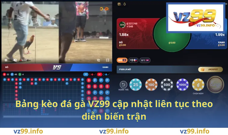 Đá Gà VZ99 2 Bảng kèo đá gà VZ99 cập nhật liên tục theo diễn biến trận