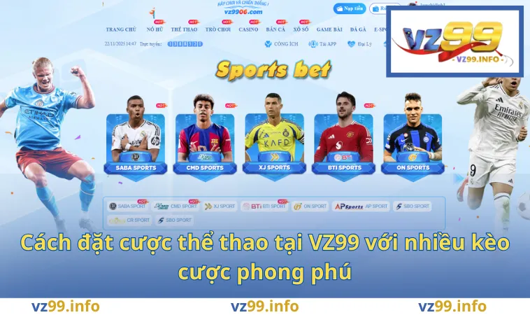 Thể Thao VZ99 3 Cách đặt cược thể thao tại VZ99 với nhiều kèo cược phong phú