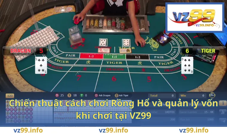 Chiến thuật cách chơi Rồng Hổ và quản lý vốn khi chơi tại VZ99