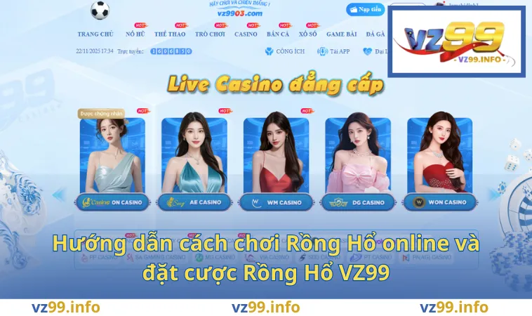 Hướng dẫn cách chơi Rồng Hổ online và đặt cược Rồng Hổ VZ99