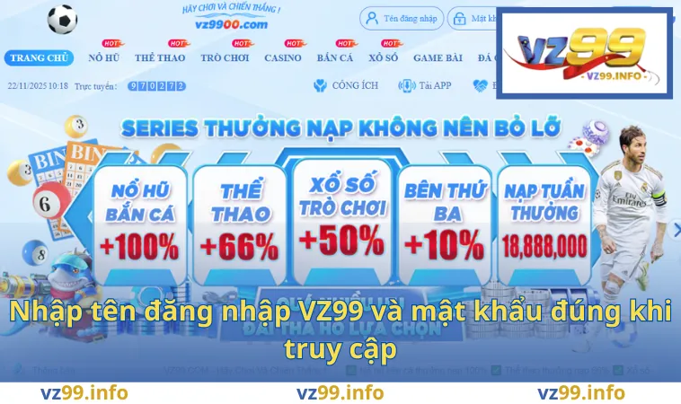 Nhập tên đăng nhập VZ99 và mật khẩu đúng khi truy cập