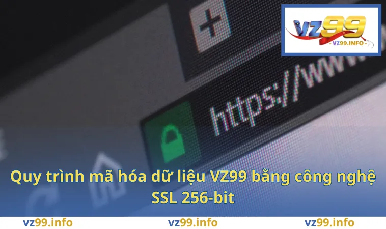 Chính Sách Bảo Mật VZ99 2 Quy trình mã hóa dữ liệu VZ99 bằng công nghệ SSL 256-bit